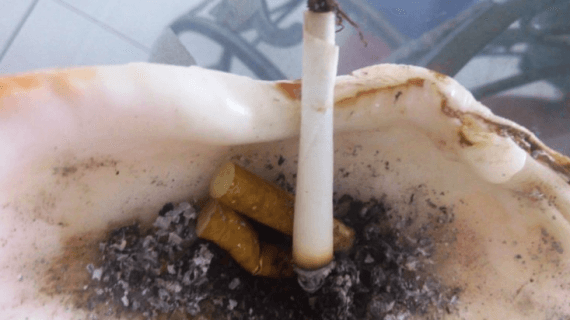 Rokok Bisa Sebabkan Kanker Di Seluruh Tubuh?